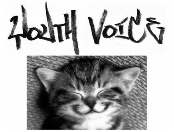 Youth Voice